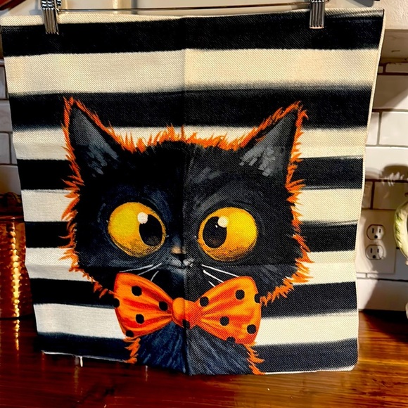 None Other - 👻 Pillow cover. 18 x 18 New! Zips open and closed measurements approximate